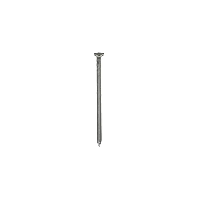 Zoro Tools Common Nail, 2-1/2 in L, 8d, Steel, Bright Finish, 10.25 ga 455 PK